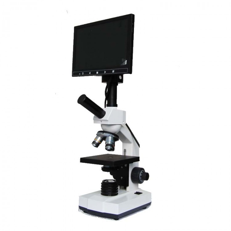 视频显微镜 显微镜厂家
