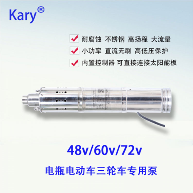 48v60v72v电瓶电动车直流水泵