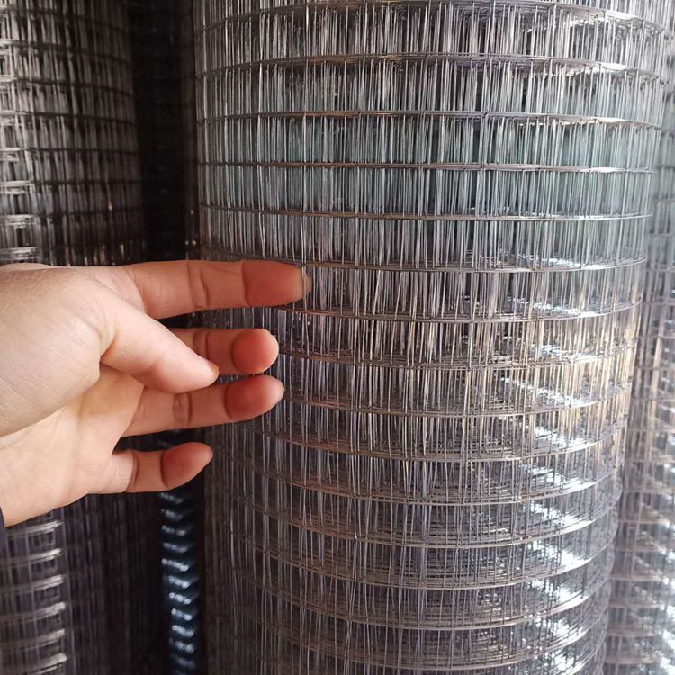 热镀锌电焊网图2