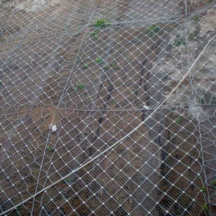 主动边坡防护网图3
