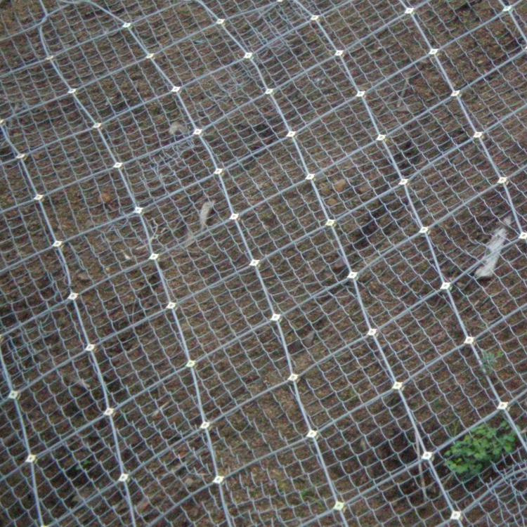 护坡边坡防护网图3