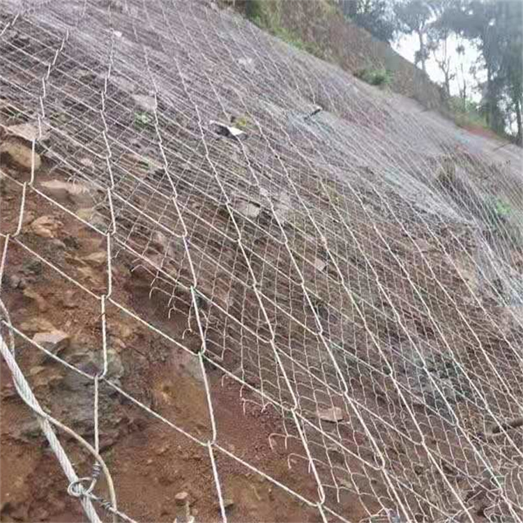 边坡防护网价格图2