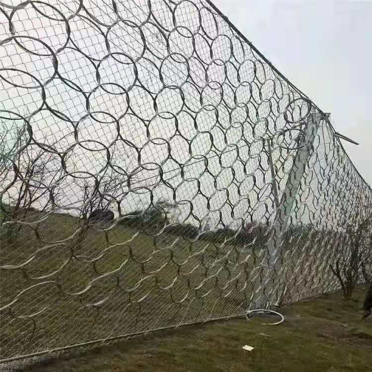 被动边坡防护网图3