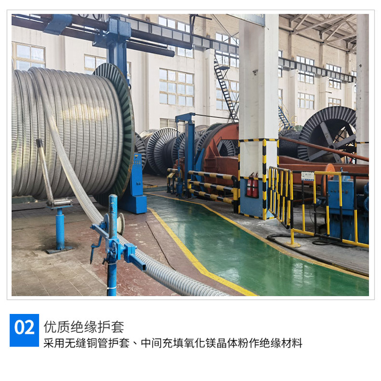 ZC-YJLW03-Z64/110 Kv. 1*630电缆图2