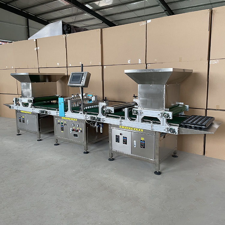 穴盘播种机流水线图3