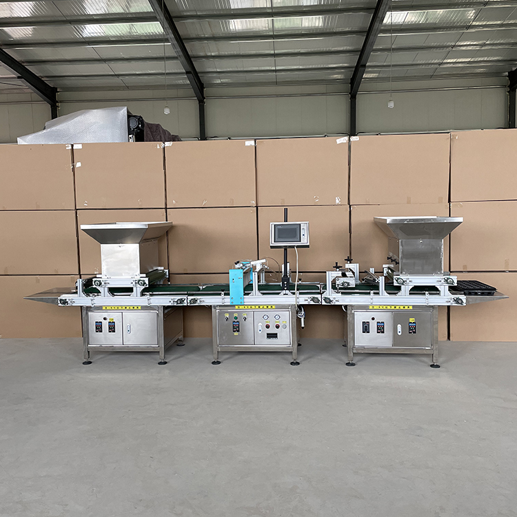 穴盘育苗流水线图3