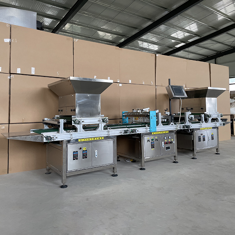 蔬菜育苗流水线图2