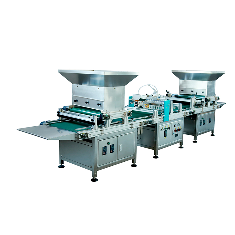 蔬菜育苗流水线图3