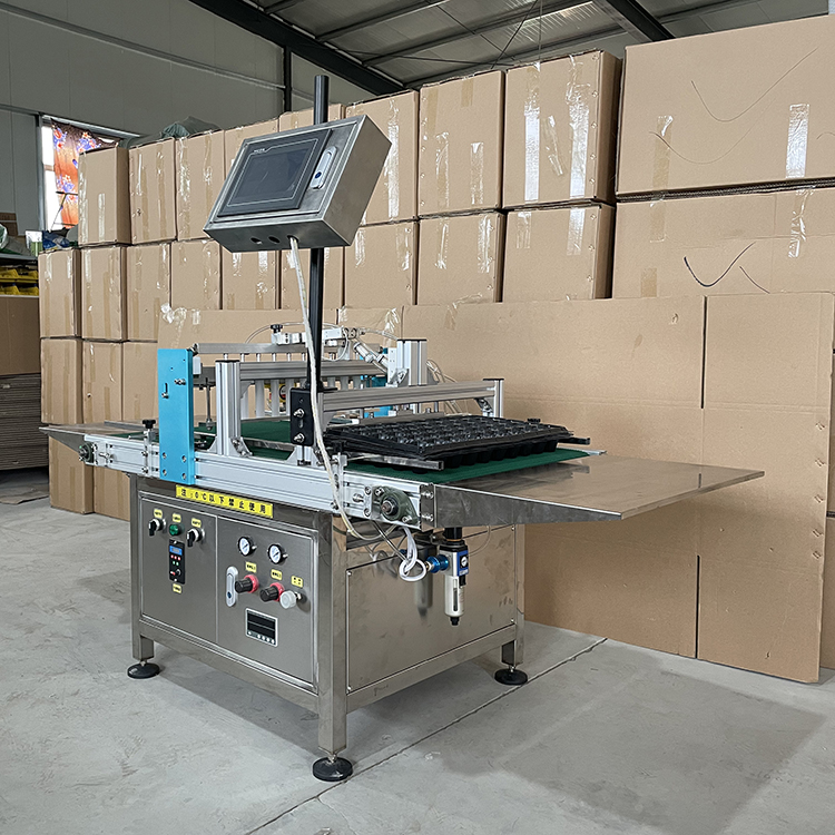 全自动穴盘育苗机图2