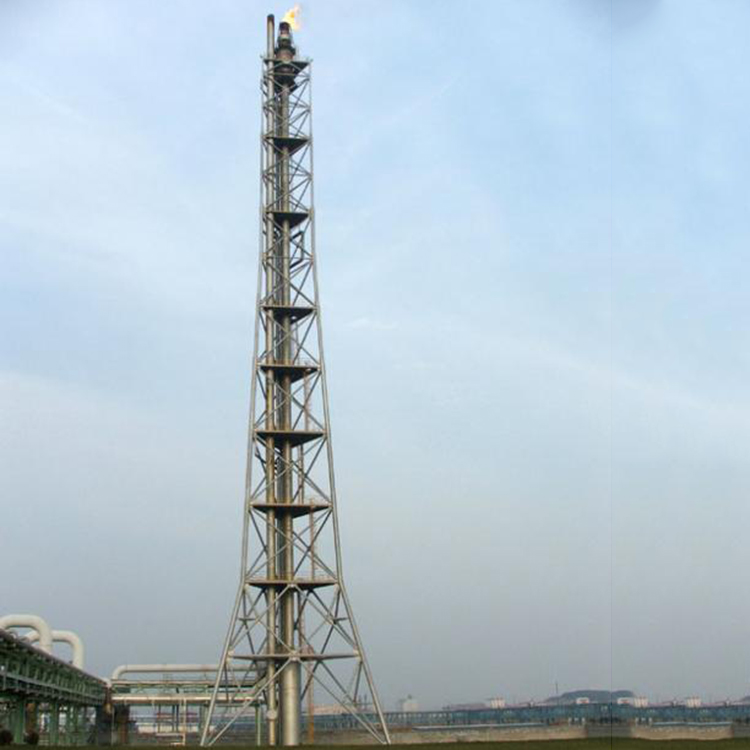 自立式火炬塔图2