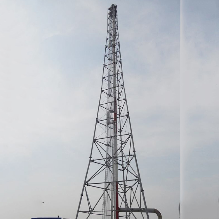 自立式火炬塔图3