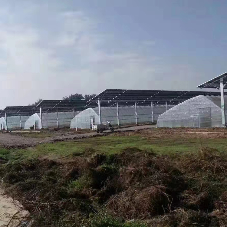 定制光伏发电图2