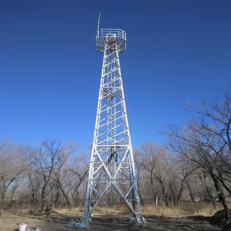 观测塔厂家图2