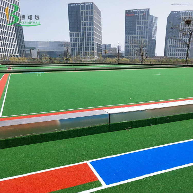 老年活动中心人造草坪门球场图3