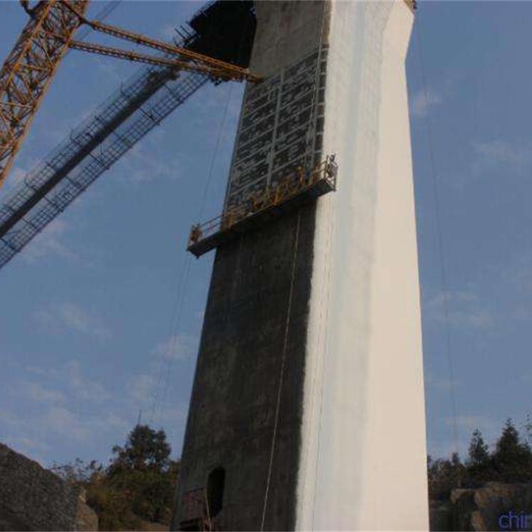 桥梁防腐涂装图3