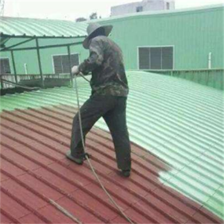 厂房钢结构喷漆防腐图2