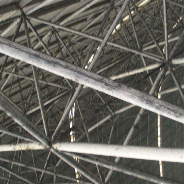 网架煤棚钢构防腐图2