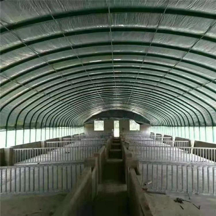 蔬菜挡雨大棚 瓜果种植拱形塑料棚 厂家供应图2