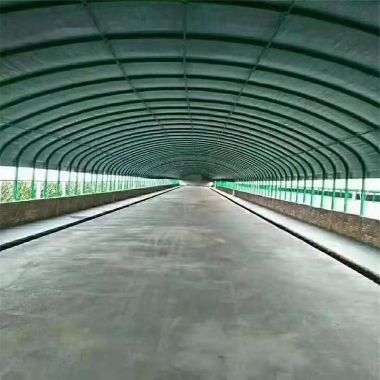 蔬菜挡雨大棚 瓜果种植拱形塑料棚 厂家供应图3