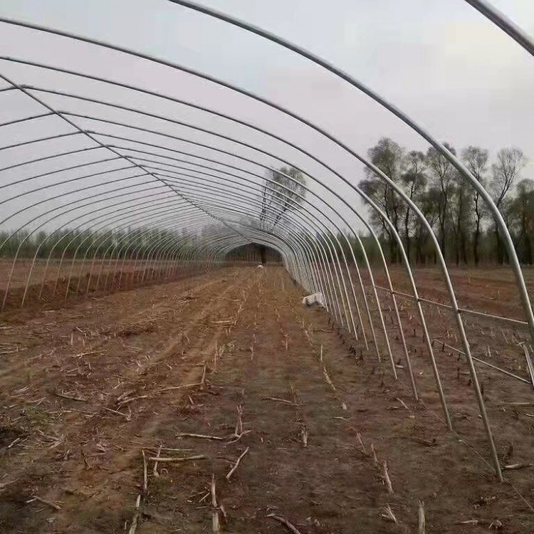 椭圆管大棚 坚固耐用的温室大棚 智能通风设计图2