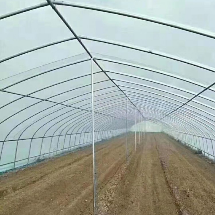 椭圆管大棚 坚固耐用的温室大棚 智能通风设计图3