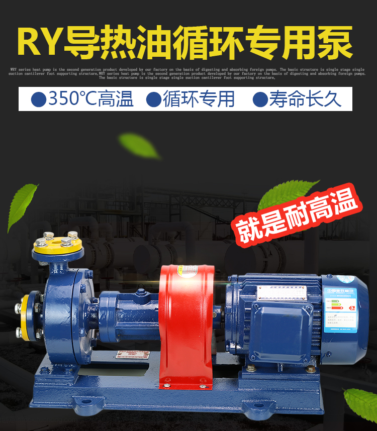 RY导热油泵