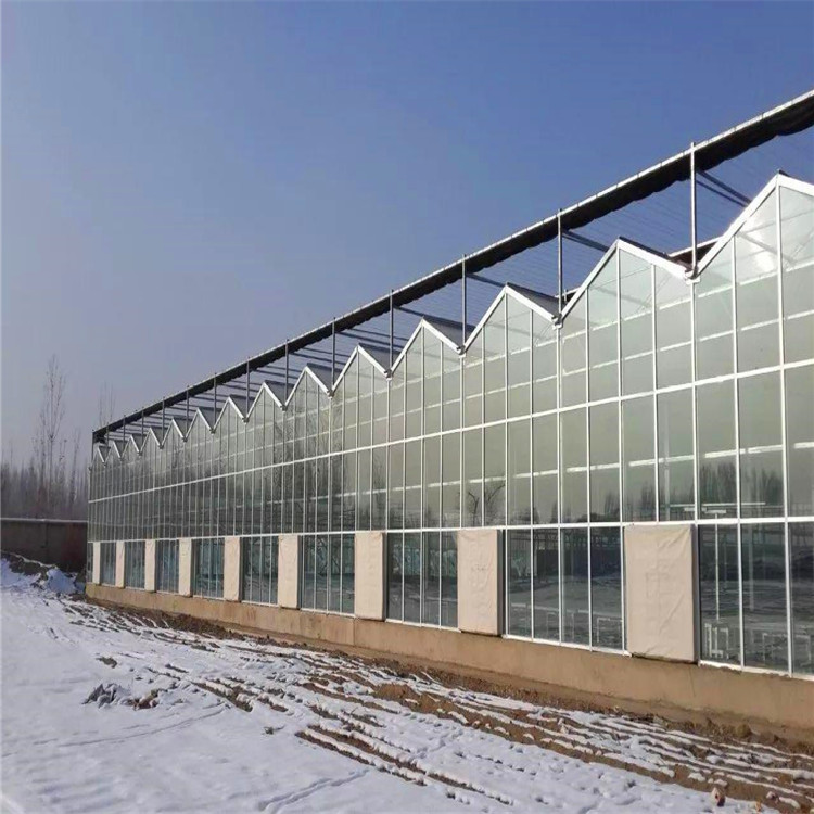 玻璃智能温室大棚价  新型阳光房 钢架大棚批发