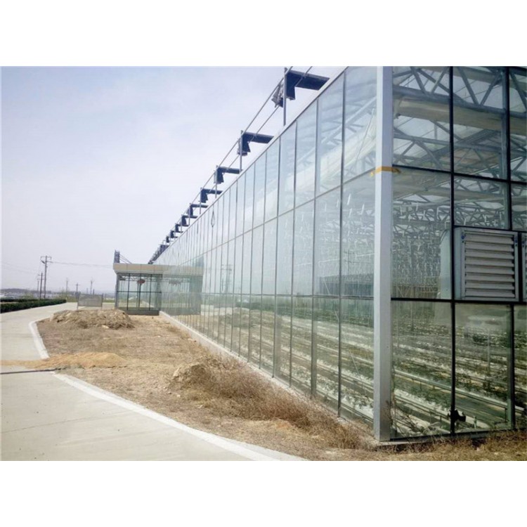 智能玻璃温室建设  生态智能温室 蔬菜大棚