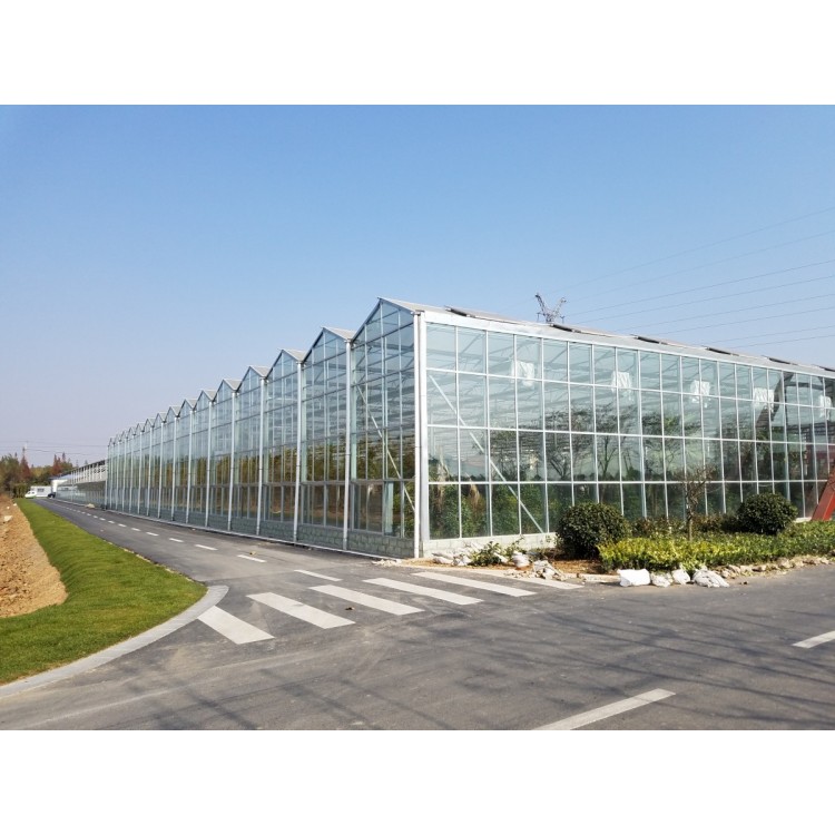 玻璃温室规格,玻璃连栋温室厂家,温室节能 连栋温室厂家