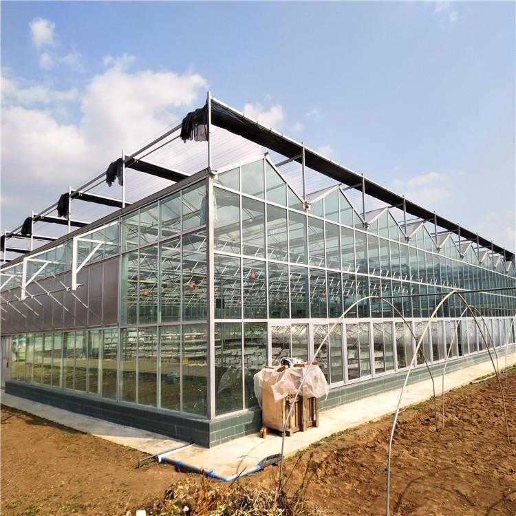 阳光板温室大棚 厂家长期建设阳光板温室大棚 温室大棚