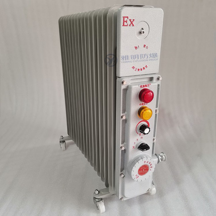 BDR系列防爆电暖气AC220v2500w3000w
