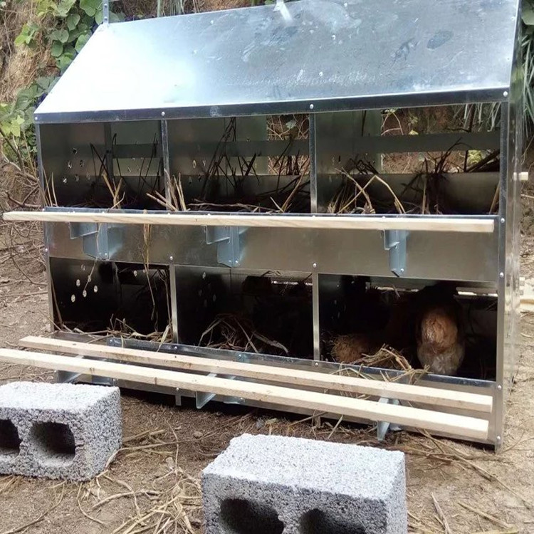 12穴产蛋箱 散养蛋箱生产厂家 母鸡下蛋窝厂家