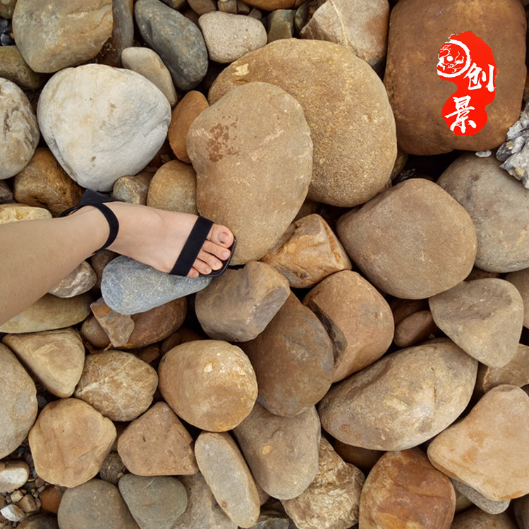 南沙区鹅卵石批发 广州鹅卵石铺路石 5-8公分河卵石多少钱