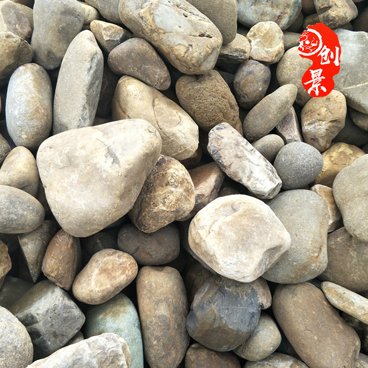 8至15公分天然鹅卵石 广东鹅卵石厂家 铺路小石子批发