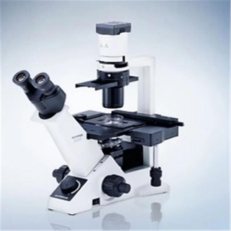 体视显微镜 SZ650体视显微镜 体视显微镜价格多少钱