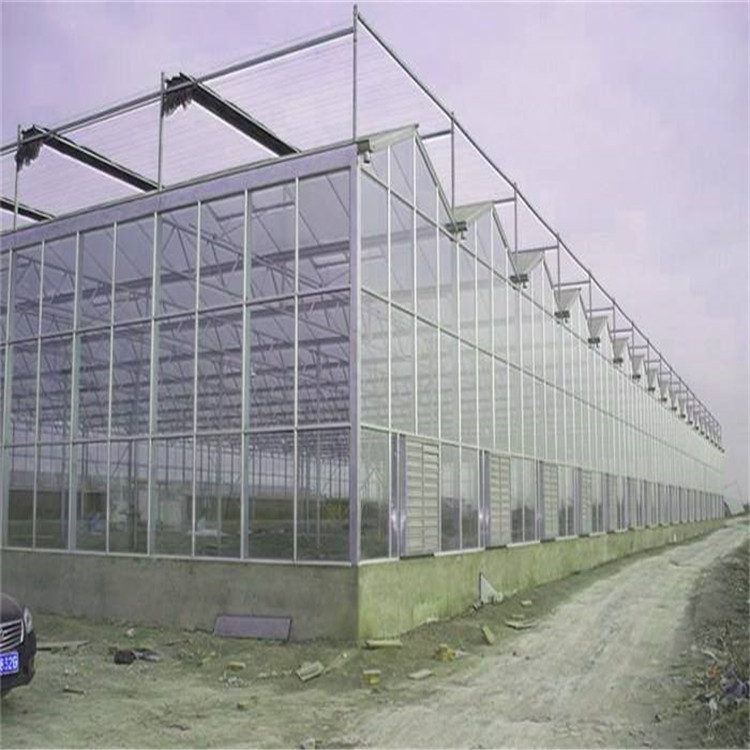 玻璃温室大棚价格 玻璃温室大棚批发承建