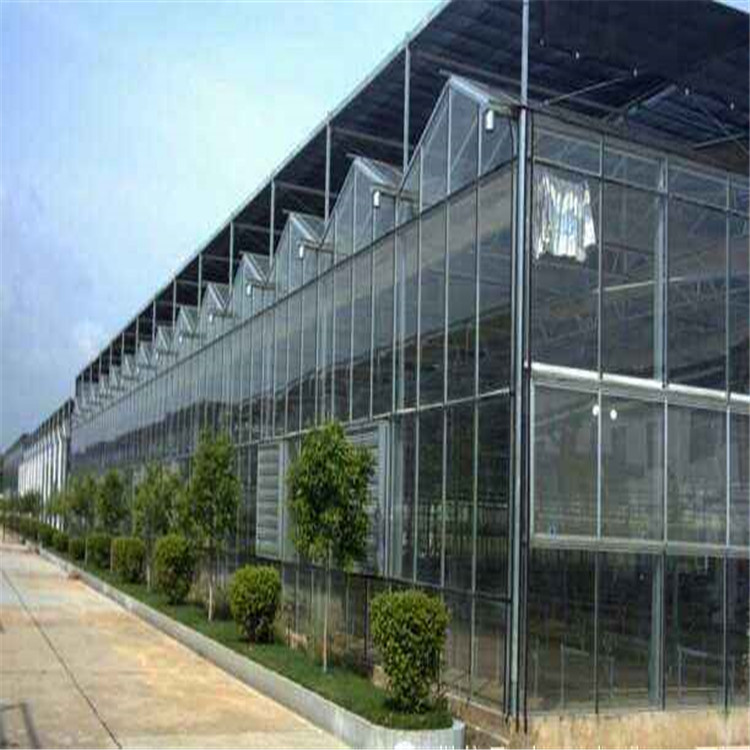 玻璃智能温室大棚价格 玻璃智能温室大棚批发承建