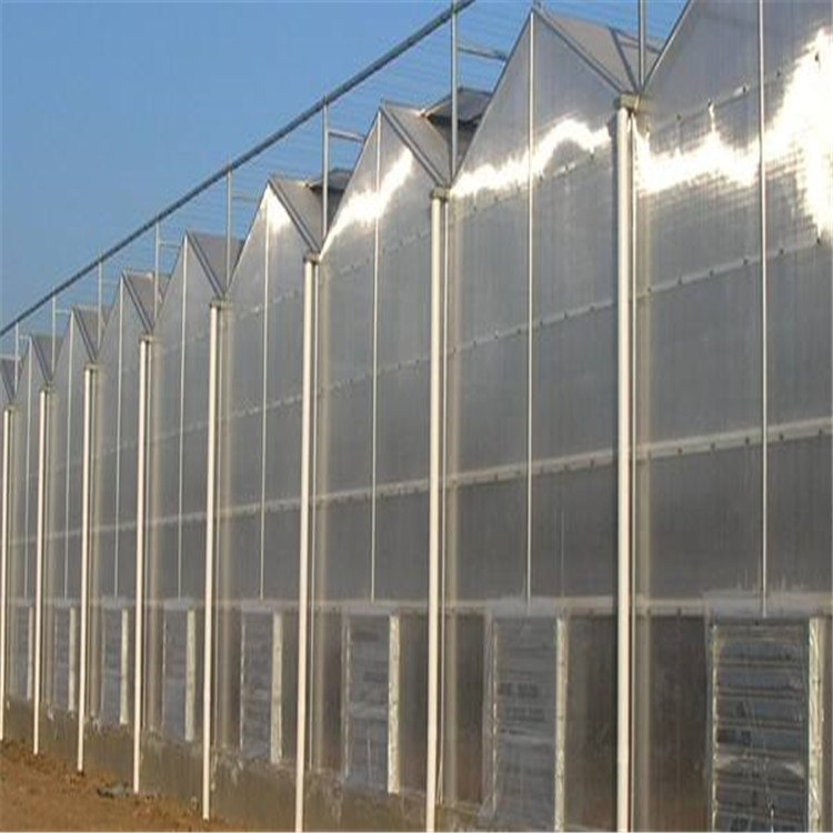阳光板温室大棚价格 山东中建阳光板温室大棚批发承建