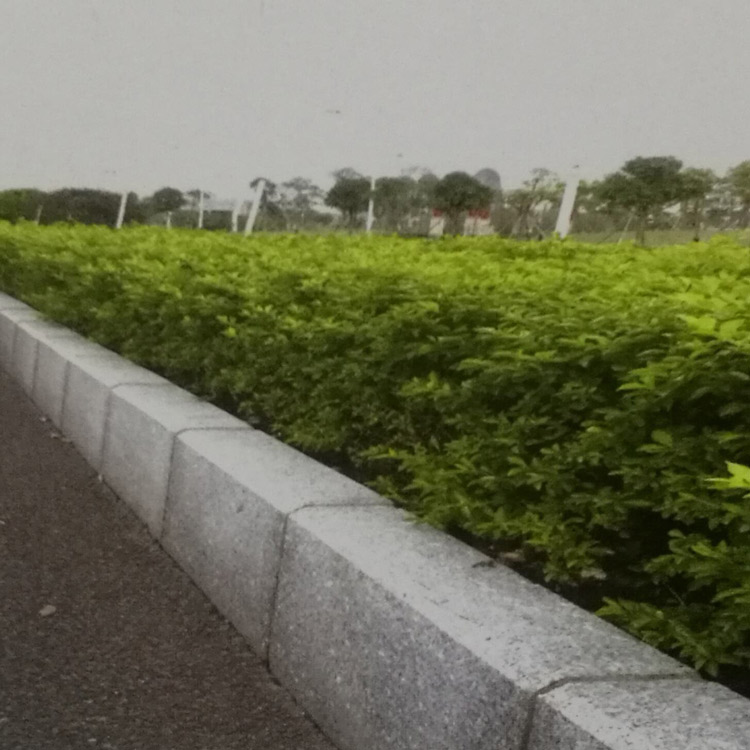 深灰色路牙石 深灰色路侧石 深灰色侧石 深灰色电脑仿形路沿石