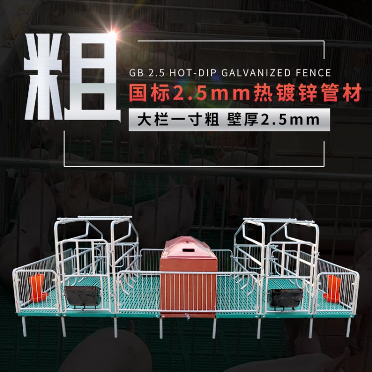 自动化养猪设备标准双体母猪产床
