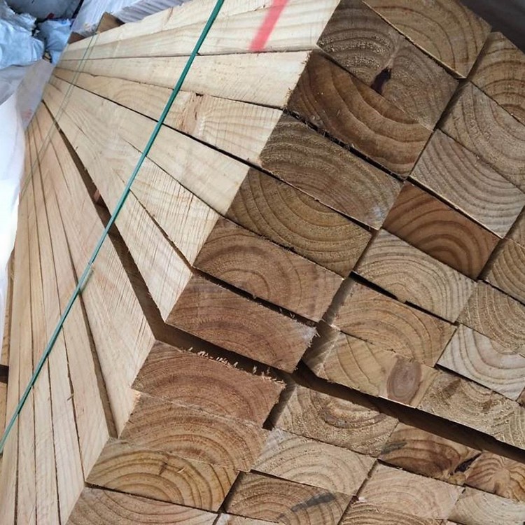 Pine building board, Douglas pine building board, Radiant pine building board, Torch pine building board