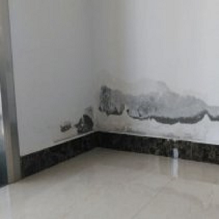 厨房漏水,卫生间漏水,楼顶维修，地下室渗水