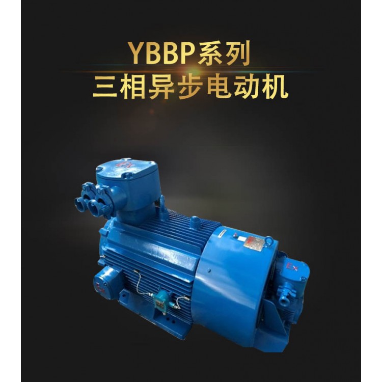 YBBP系列隔爆型变频调速低压大功率三相异步电动机