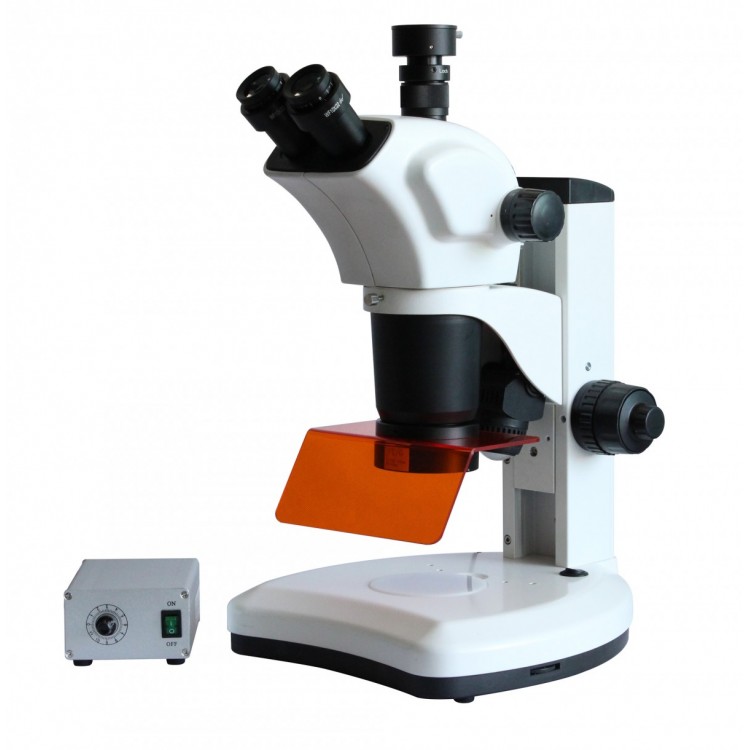 重庆荧光体视显微镜 体视荧光显微镜 LED荧光显微镜
