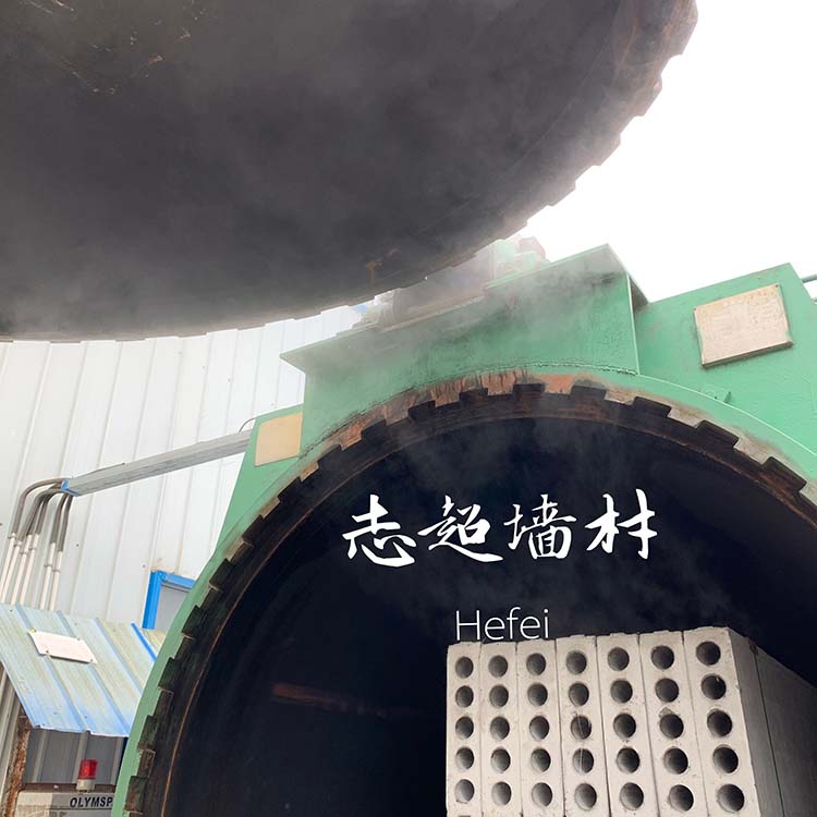 蒸压陶粒混凝土轻质隔墙板
