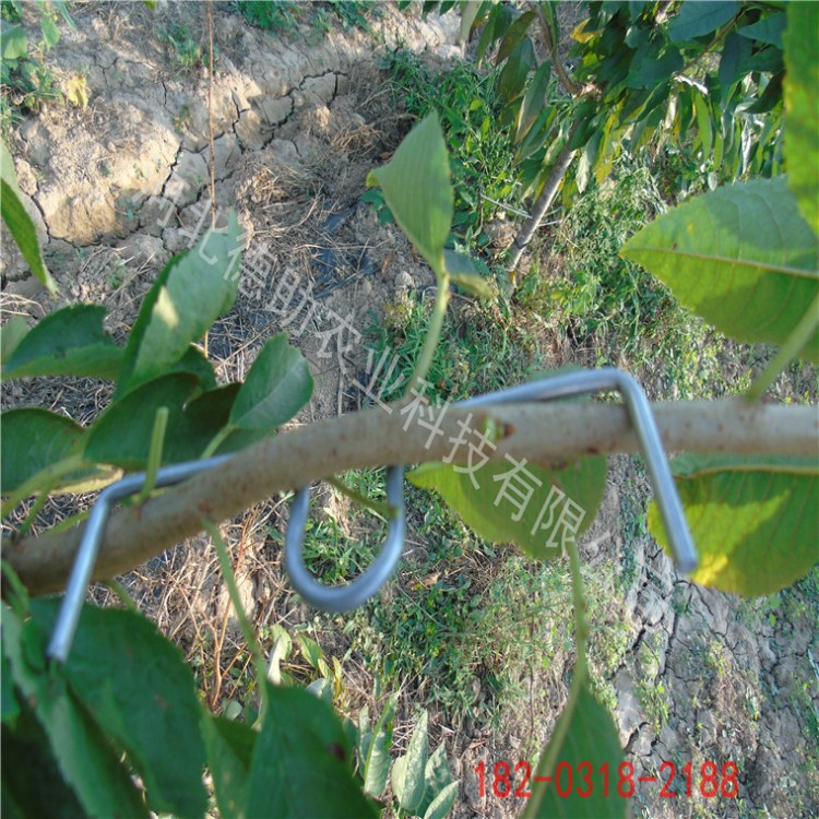 果樹M型別枝器拉枝器開角器壓枝工具別枝器