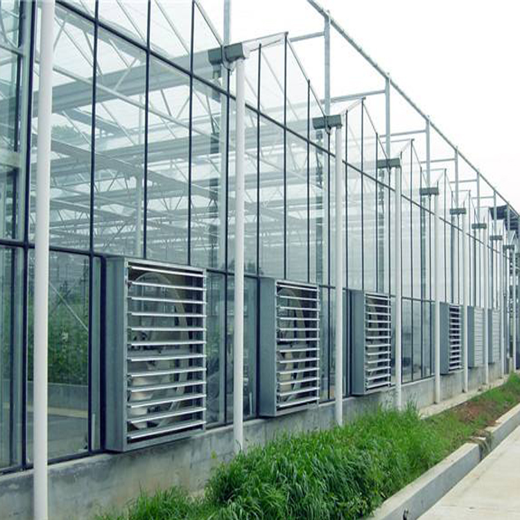 连栋玻璃温室 花卉智能玻璃温室 农业连栋餐厅玻璃温室大棚
