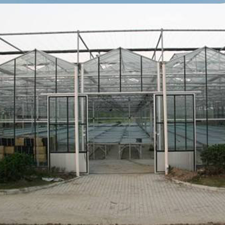 玻璃温室 山东玻璃温室 玻璃温室大棚造价明细 玻璃温室骨架