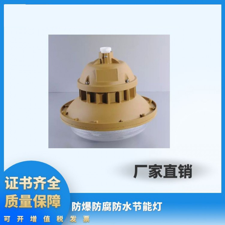 防爆防水节能灯