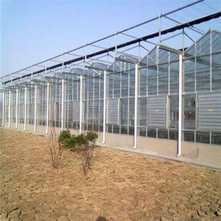 玻璃大棚 材料质量好 青州东阳温室玻璃大棚承建